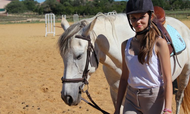 STAGES EQUITATION  OK.JPG