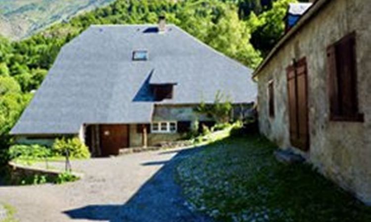 Image1.jpg