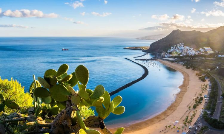CEI-Sejour-linguistique-Canaries-Tenerife-plages.jpg
