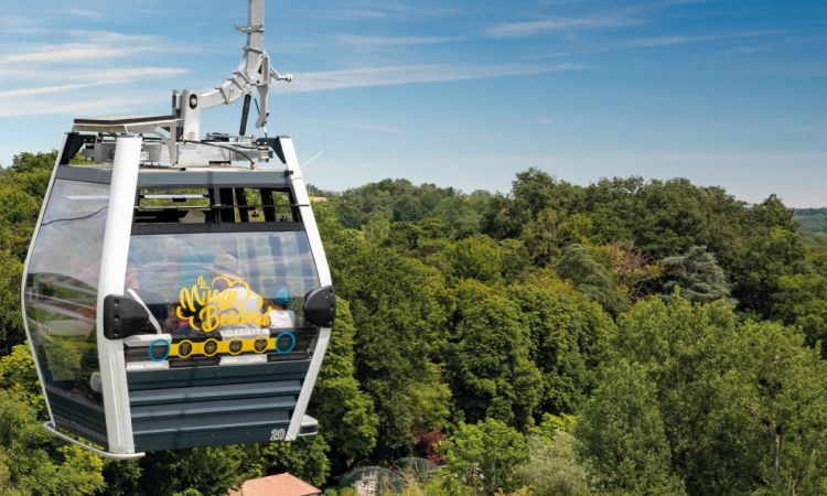 TELECABINE_1200x628.jpg