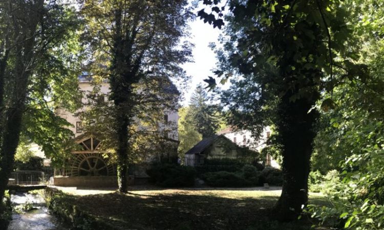 ORMOY-2-1200x480.jpg