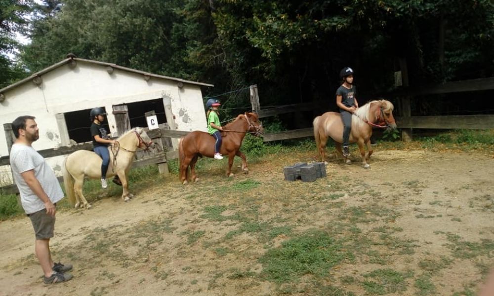 jeux equestre.jpg