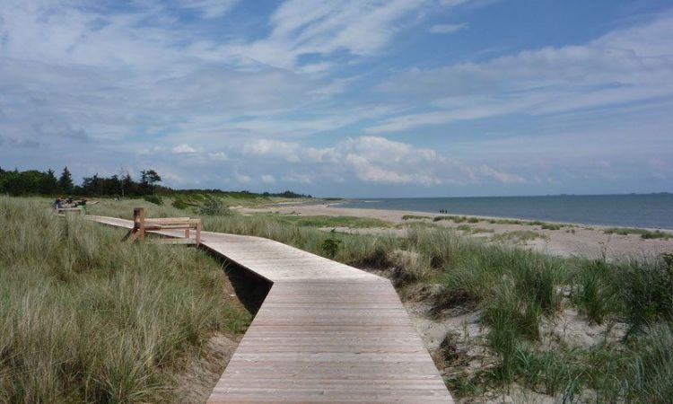 das-foto-zeigt-den-neu-errichteten-radfahrweg-der-nun-durchgangig-von-nieblum-meetsweg-ferienhaus-nach-wyk-parallel-zur-see-fuhrt-und-naturlich-auch-in-anderer-richtung-1008x4.jpg