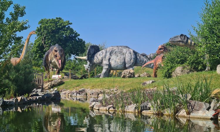 Dinos vallée 31 mai-min (1).jpg