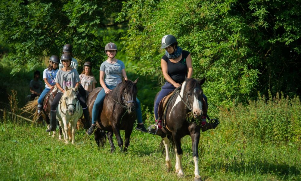 activité cheval et poney (4).jpg