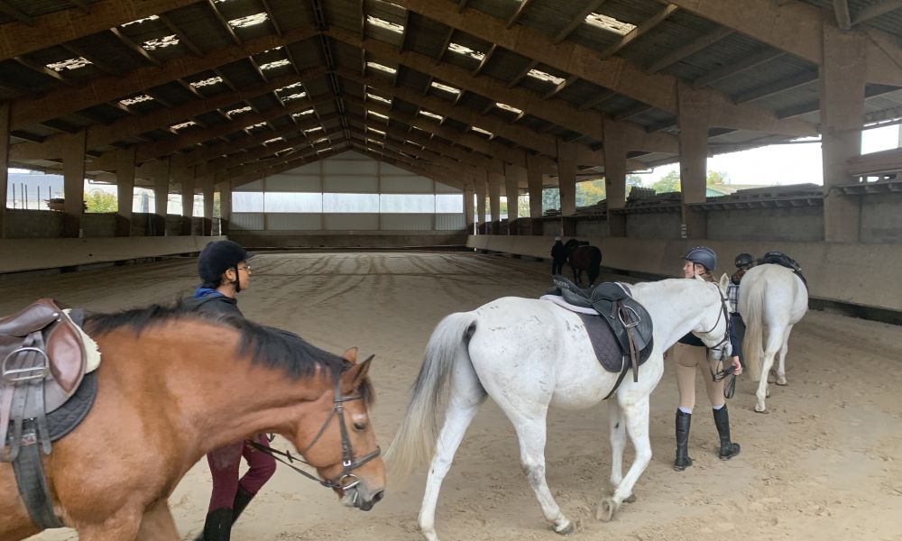 Equitation (2).jpg