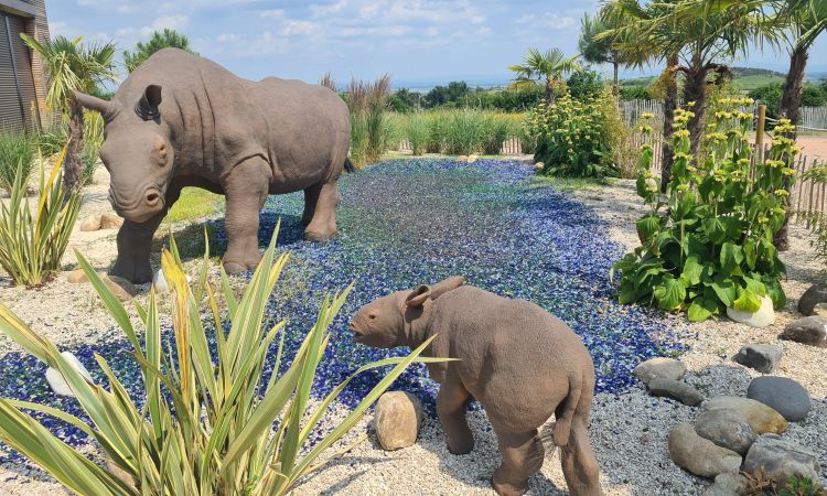 Rhinocéros-min.jpg