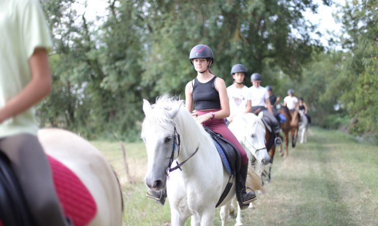 IMG_0107 réduit.jpg