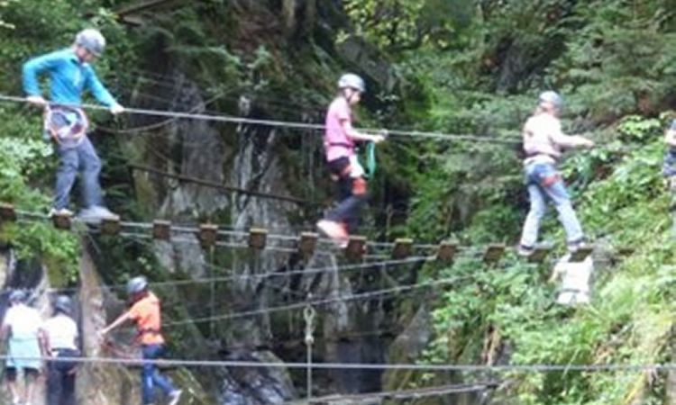 Image5.jpg