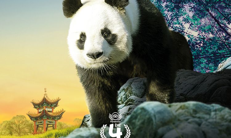 YUAN_ZI-2.jpg