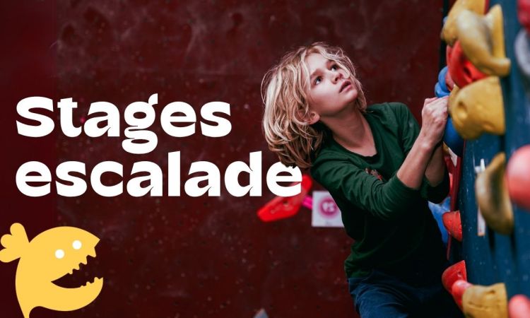 Mail_Stage Jeunes juillet 25.jpg