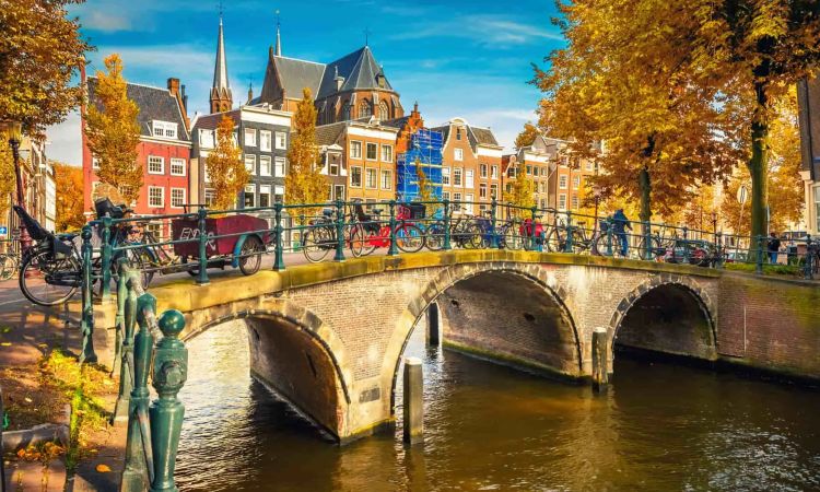 CEI-colo-automne-Amsterdam.jpg