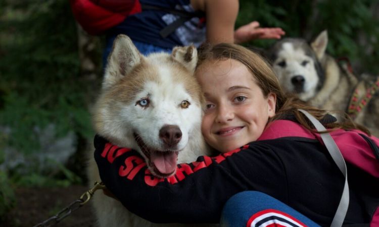 Colo-enfants-chiens-des-montagnes-Chatel-1024x683.jpeg