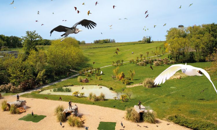 OISEAUX_1200x628.jpg