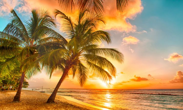 Antilles 18.jpg