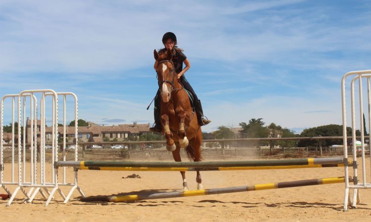 STAGES EQUITATION (15) OK.JPG