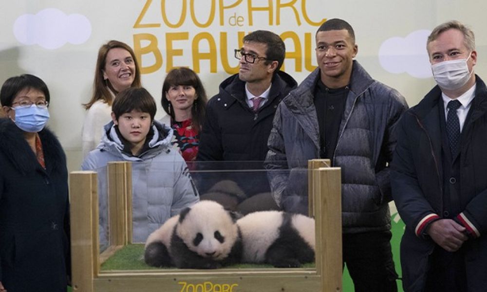 Séjour enfant primaire zoo Beauval 10.jpg