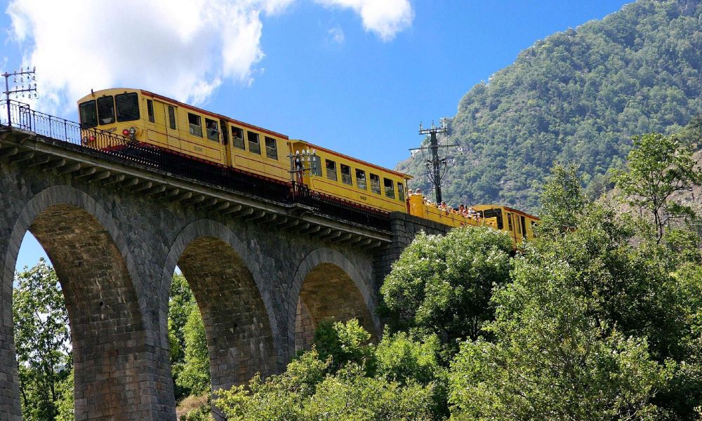 petit train jaune.jpg