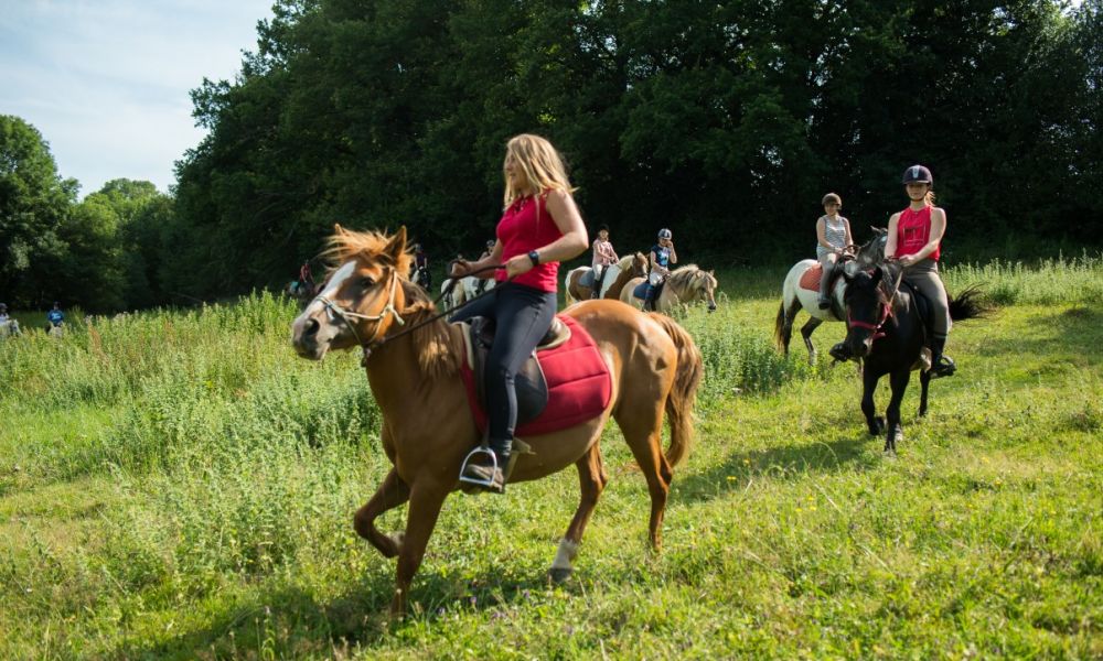 activité cheval et poney (13).jpg