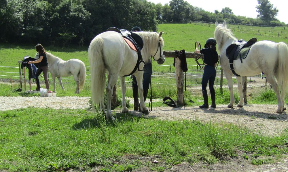 Séjour équitation ou musique-Préparation des chevaux.jpg