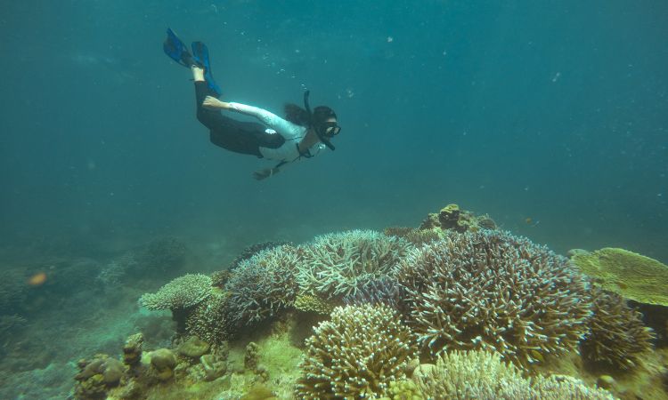 Snorkeling Ao Nang notto-suthipat-VzSJrwSfynE-unsplash.jpg