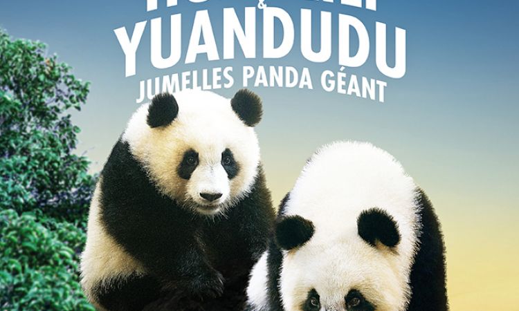 HUANLILI-YUANDUDY-2.jpg
