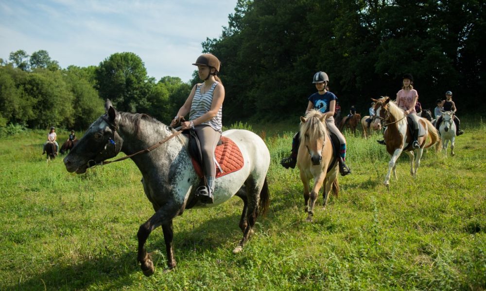 activité cheval et poney (9).jpg