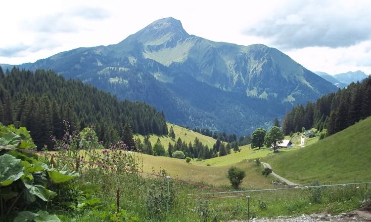 Chatel-colo-Toussaint-CEI.JPG