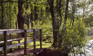 Séjours & vacances ados : Activités enfants / famille Offres culturelles et de loisirs à Parthenay-Gâtine