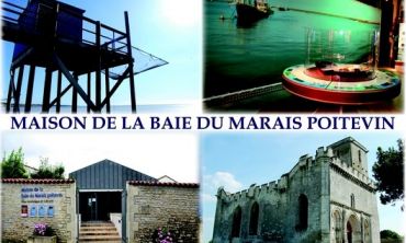 Séjours & vacances ados : Séjours culture et découverte Visite de la Maison de la Baie du Marais Poitevin (Séjours culture et découverte)