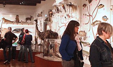 Vacances enfants : Séjours culture et découverte Visite du Muséum Henri-Lecoq (Séjours culture et découverte, Activités enfants / famille)