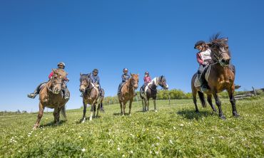 Vacances enfants : France Colo équestre et linguistique