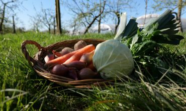 Vacances enfants : Activités enfants / famille Visite et ateliers à l'écomusée de l'Avesnois (Séjours culture et découverte)