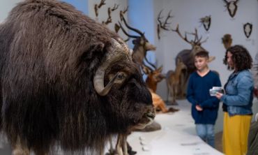 Vacances enfants : Séjours culture et découverte Visitez les Musées de Troyes (Séjours culture et découverte, Activités enfants / famille)
