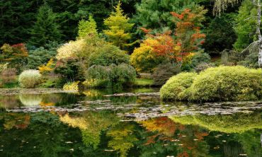 Vacances enfants : Eté Explorez les jardins du Grand Est (Séjours culture et découverte)