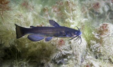 Séjours & vacances ados : Janvier 2027 Visite de l'Aquarium de Lyon : Découvrez les écosystèmes aquatiques