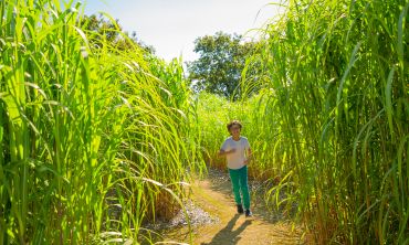 Séjours & vacances ados : Mars Découvrez Les Jardins de l'Éveil en Bretagne (Séjours culture et découverte)