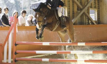 Stage d'équitation enfant, stage d'équitation ado