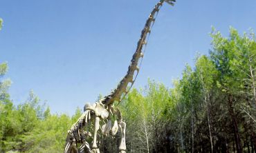 Vacances enfants :  Visite du Musée Parc des Dinosaures et de la Préhistoire à Mèze