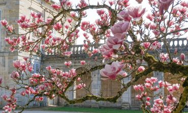 Vacances enfants : Février Visites et événements à l'Abbaye de Trois-Fontaines