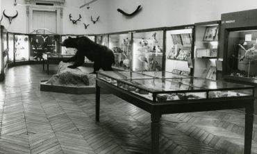 Séjours & vacances ados : Séjours culture et découverte Visitez le Museum d’Histoire naturelle d'Amiens (Séjours culture et découverte, Activités enfants / famille)