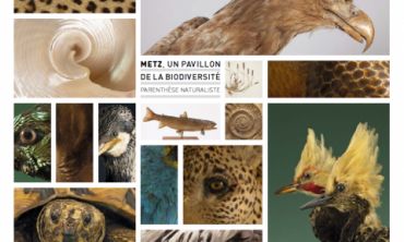 Séjours & vacances ados : Séjours culture et découverte Visites et Ateliers au Musée de La Cour d'Or (Séjours culture et découverte)