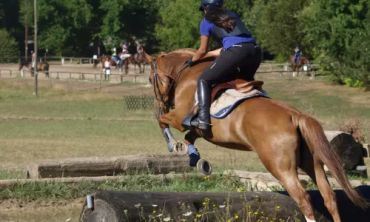 Séjours & vacances ados : Cours particuliers chez le professeur Séjour Langue et Sport en Irlande