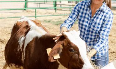 Vacances enfants : Cours particuliers chez le professeur New zealand farm experience
