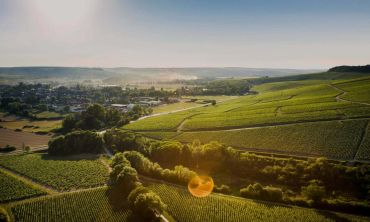 Séjours & vacances ados : Adolescents (14 à 18 ans) Expérience immersive à la Cité des Climats et vins de Bourgogne