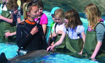 colonie la rencontre