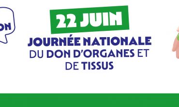 Vacances enfants : Eté Visite du Musée Archéologique du Nivernais (Séjours culture et découverte)