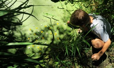 Séjours & vacances ados : Campagne Stage Merveilleuse Nature