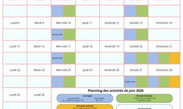 Vacances enfants : Eté Stages et Initiations Équestres pour Enfants (Ateliers et stages)