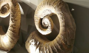 Séjours & vacances ados : Vacances d'hiver (février mars) 2027 Visitez le Musée de Préhistoire des gorges du Verdon